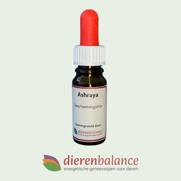 DierenBalance Ashraya