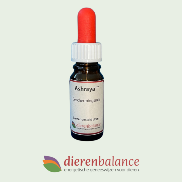 DierenBalance Ashraya ++