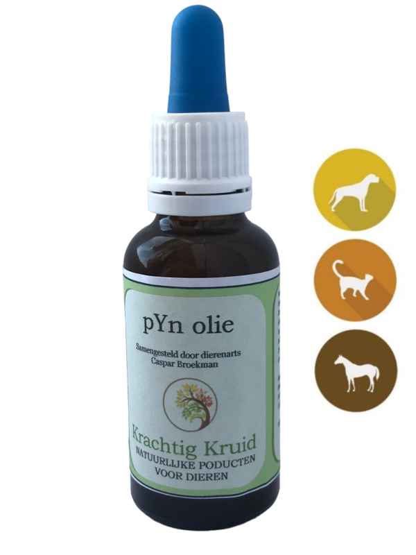 Krachtig Kruid pYn Olie